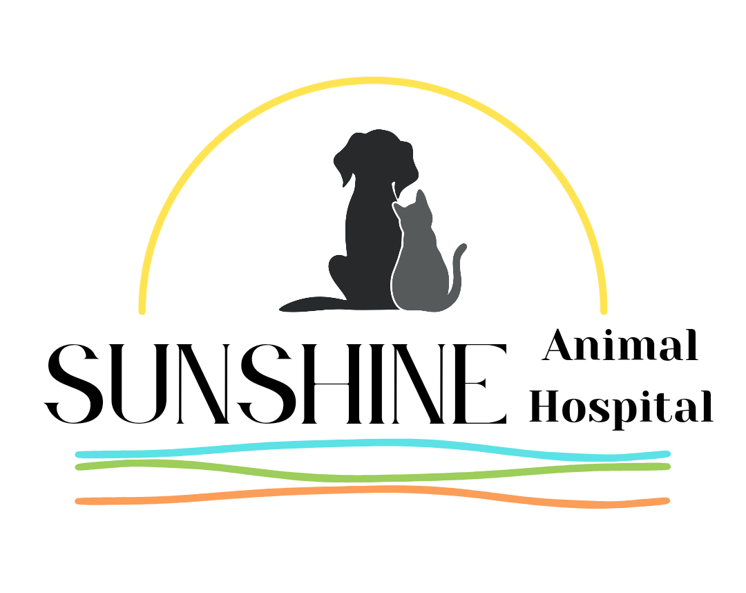 Veterinarian | Sunshine Animal Hospital in Poway, CA | Vets Care